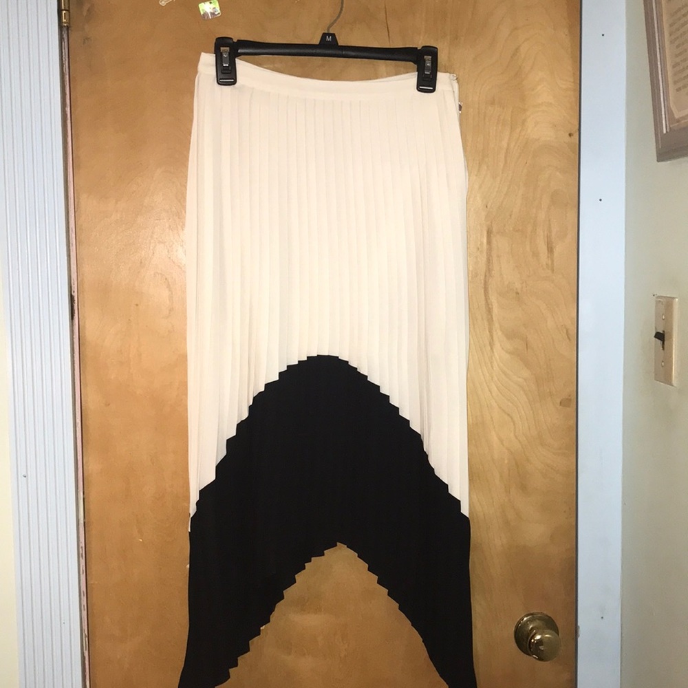 Black and White Express skirt